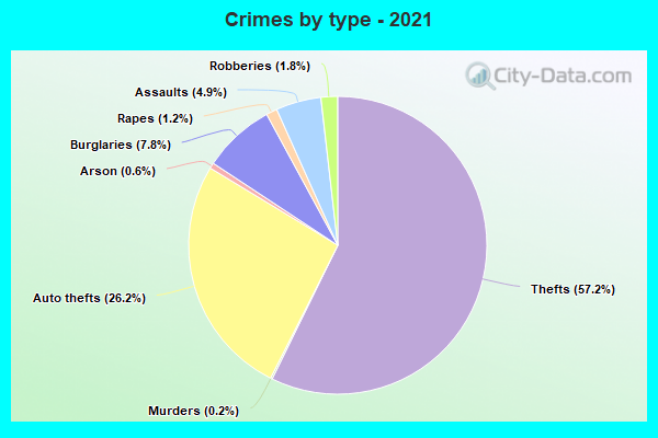 Crimes by type - 2021