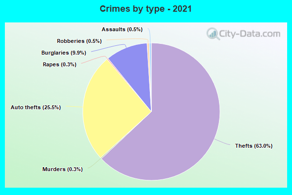 Crimes by type - 2021