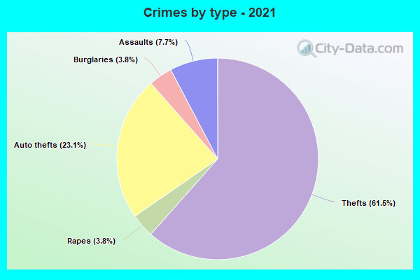 Crimes by type - 2021