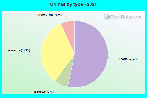 Crimes by type - 2021