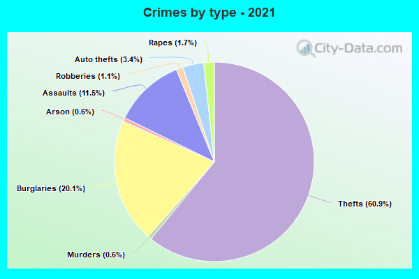 Crimes by type - 2021