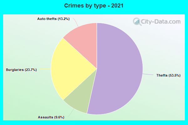 Crimes by type - 2021