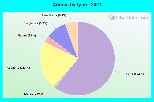 Crimes by type - 2021