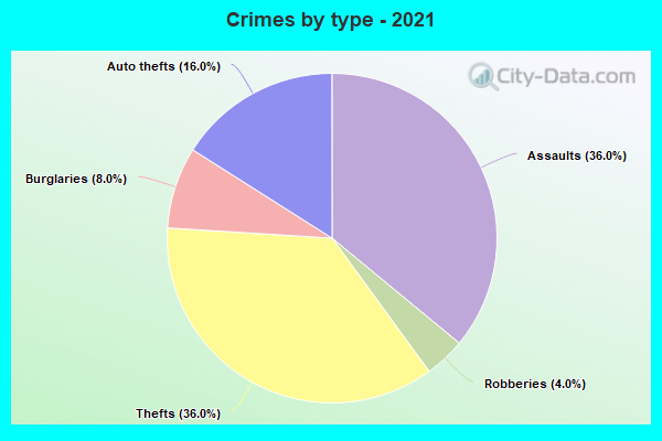 Crimes by type - 2021