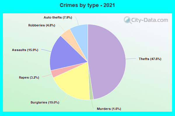 Crimes by type - 2021