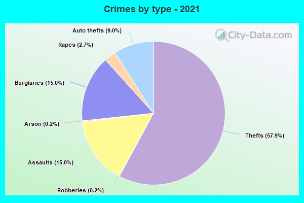 Crimes by type - 2021