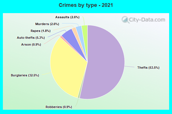 Crimes by type - 2021