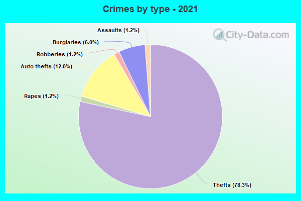 Crimes by type - 2021