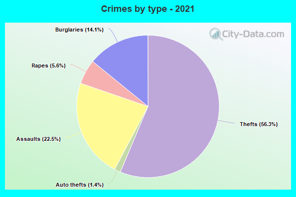 Crimes by type - 2021