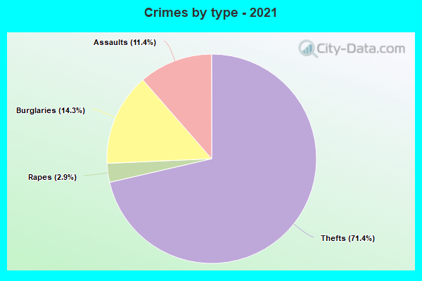 Crimes by type - 2021