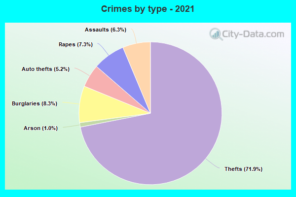 Crimes by type - 2021