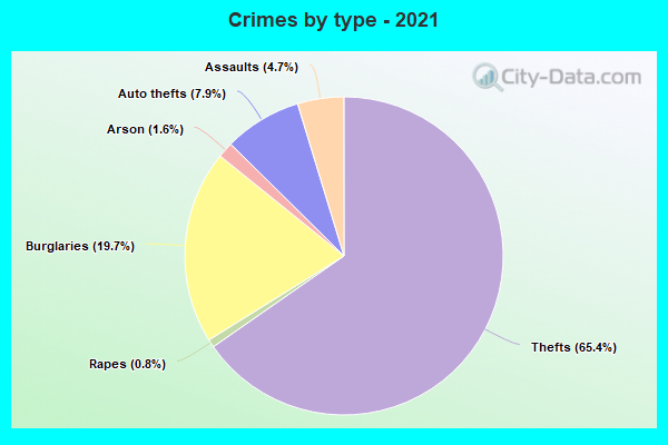 Crimes by type - 2021
