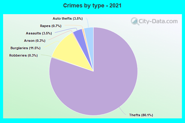 Crimes by type - 2021