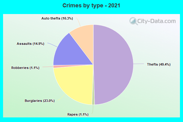 Crimes by type - 2021