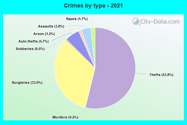 Crimes by type - 2021