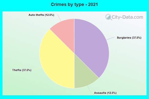 Crimes by type - 2021