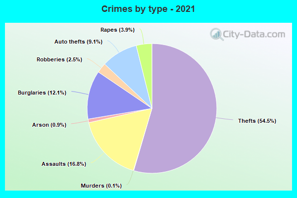 Crimes by type - 2021