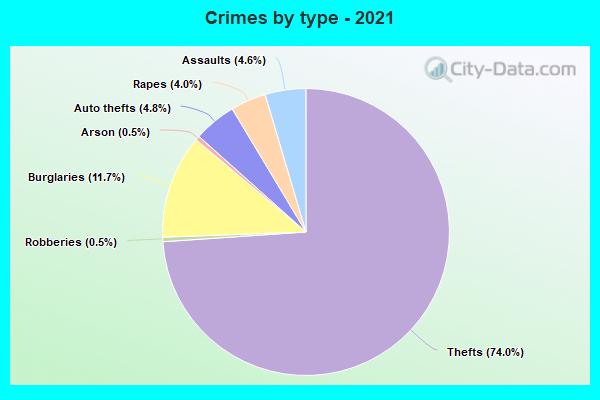 Crimes by type - 2021