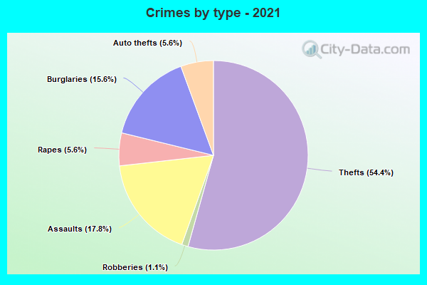 Crimes by type - 2021