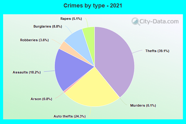 Crimes by type - 2021