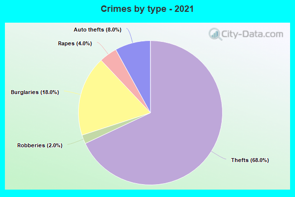 Crimes by type - 2021