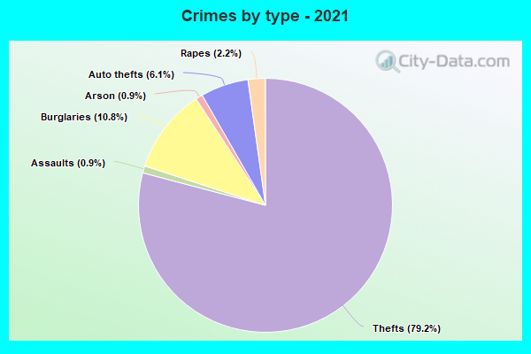 Crimes by type - 2021