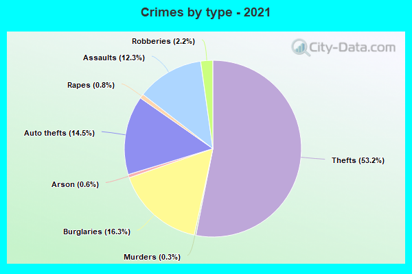 Crimes by type - 2021