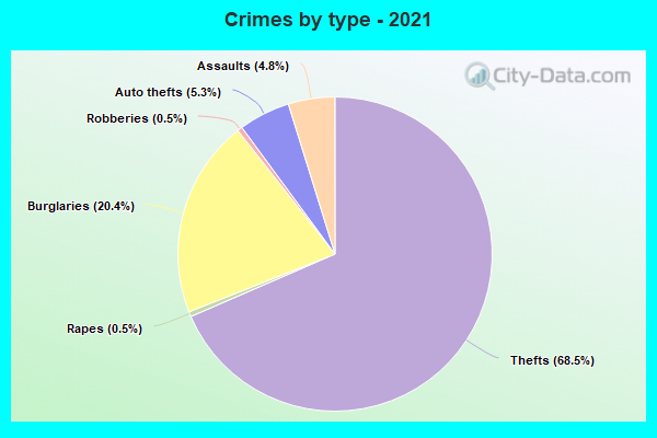 Crimes by type - 2021