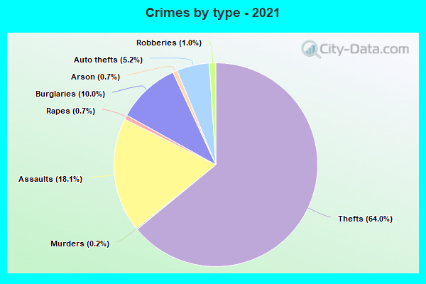 Crimes by type - 2021