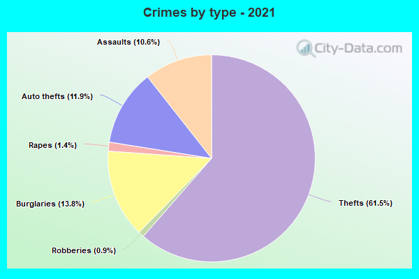 Crimes by type - 2021