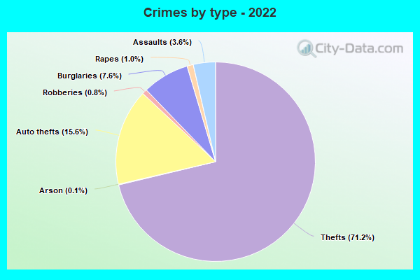 Crimes by type - 2022