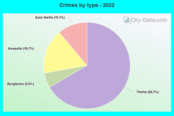 Crimes by type - 2022