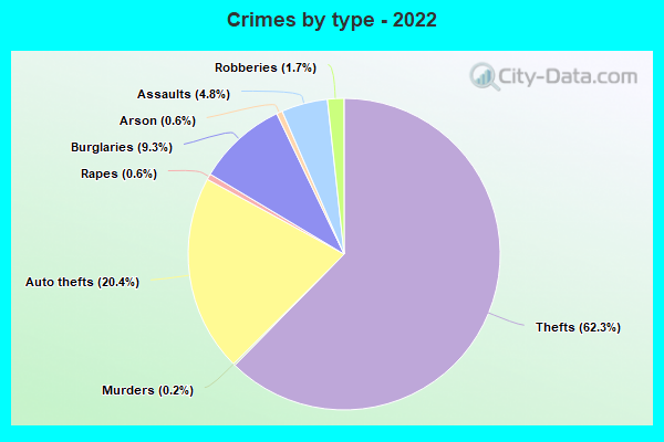 Crimes by type - 2022