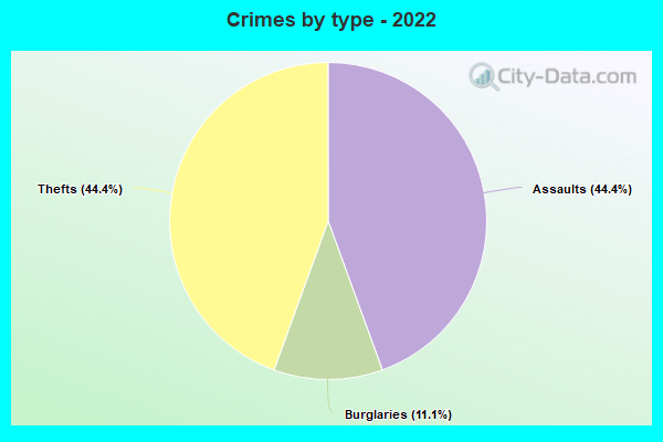 Crimes by type - 2022