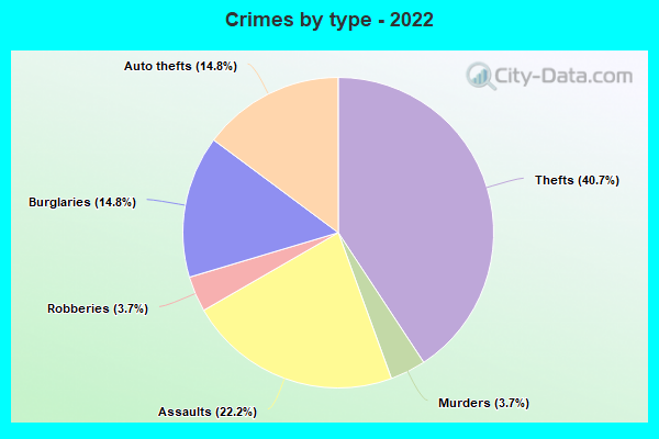 Crimes by type - 2022