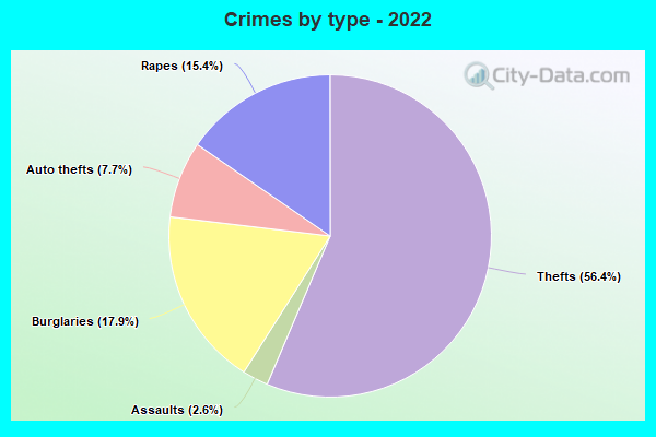 Crimes by type - 2022