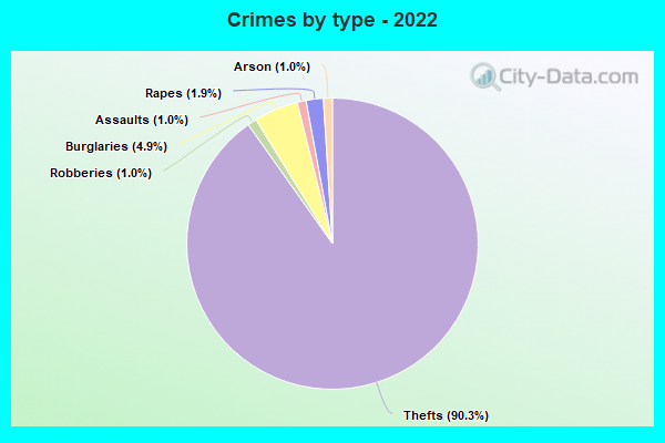 Crimes by type - 2022