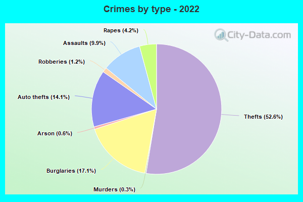 Crimes by type - 2022