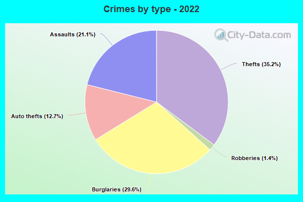 Crimes by type - 2022