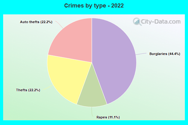 Crimes by type - 2022