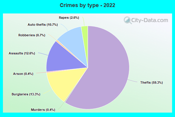 Crimes by type - 2022