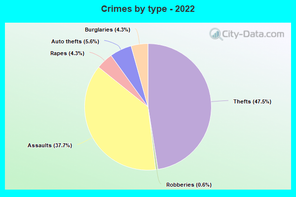 Crimes by type - 2022