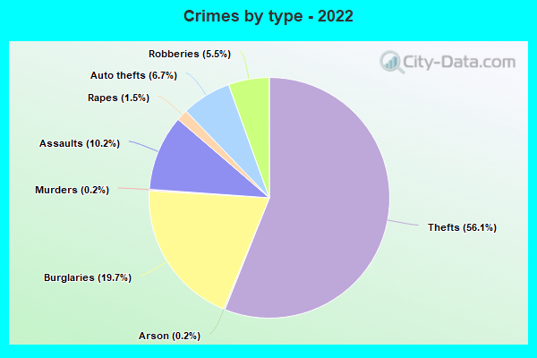 Crimes by type - 2022