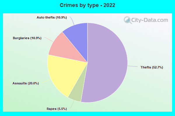 Crimes by type - 2022