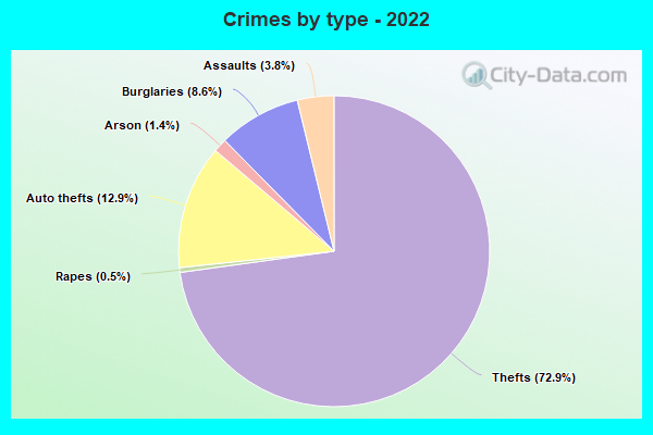 Crimes by type - 2022