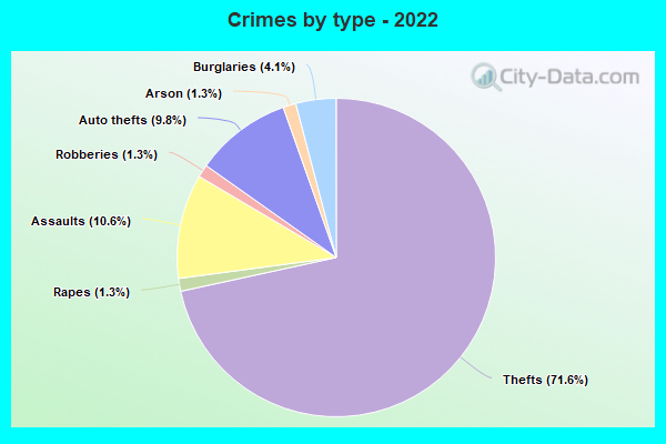 Crimes by type - 2022