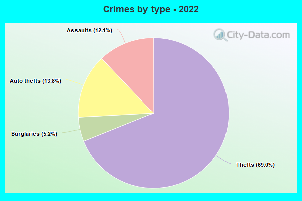 Crimes by type - 2022