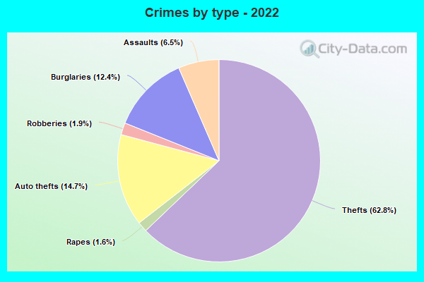 Crimes by type - 2022