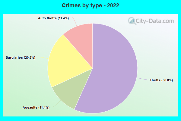 Crimes by type - 2022