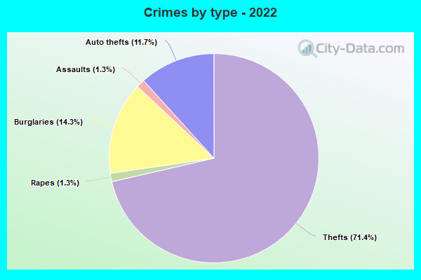 Crimes by type - 2022